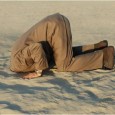 Councillors with head in the sand What happened? Did some council official not get their bung tied up in a nice brown envelope? Yet again, senior officials pull the strings and our elected councillors are their...